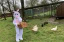The Easter Bunny will be in attendance at the fayre.