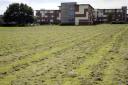 CLUMPS of grass left on the freshly-cut pitch at Jocelyn Park, which was not suitable for play on Saturday. PHOTO: Peter O'Shea.