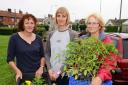 Fiona Stanley, Sarah Jones and Meg Winfield get ready to make Cannington bloom