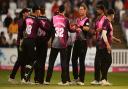Somerset players celebrate a wicket.