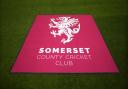 Somerset logo