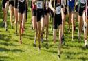 CROSS COUNTRY: Holyrood shine at district championships