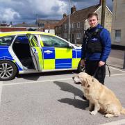 Police officers reunited the dog with its owner