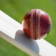CRICKET: Chard CC to hold New Year junior coaching sessions