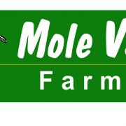 Mole Valley Farmers are experiencing 'operational challenges' after an IT issue.