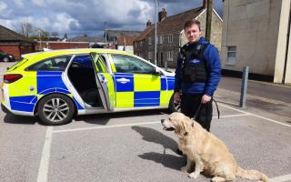 Police officers reunited the dog with its owner