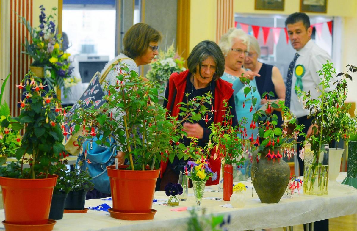 BLOOMING MARVELLOUS: Chard Summer Show's plant entries