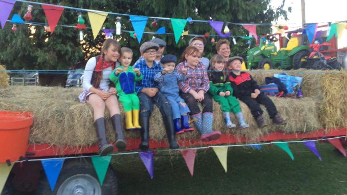 Pictures from the South Petherton Carnival