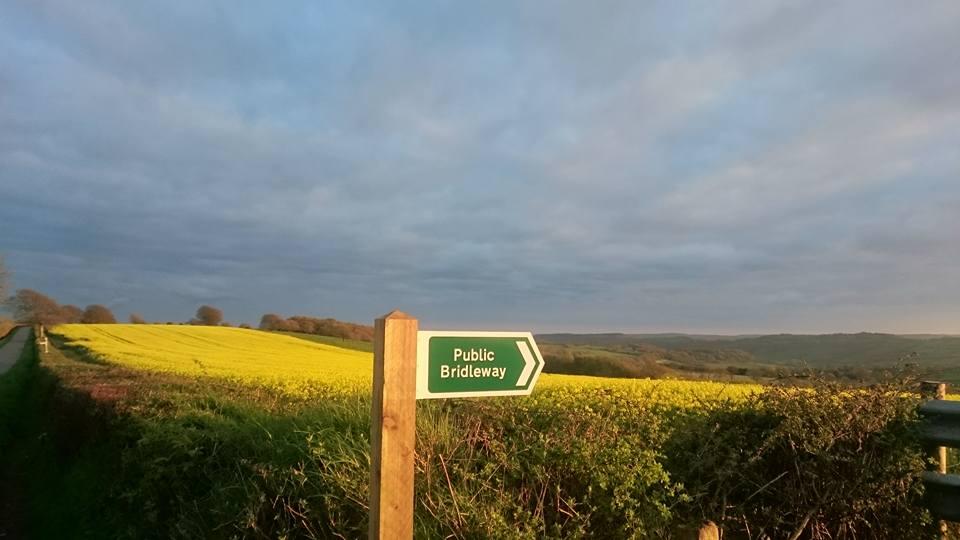 SIGNPOSTED: A view from near Cotley by Becky MacMillan-Adams. PUBLISHED: April 19, 2017