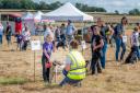 The Ham Hill Country Park Fun Dog Show will be held for the seventh time near Stoke-sub-Hamdon next month. Picture: South Somerset District Council