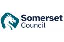 The new logo for Somerset Council, featuring a white dragon's head inside a teal five-sided shape.