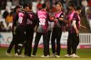 Somerset players celebrate a wicket.