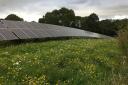 A Greentech solar farm. Picture: Greentech