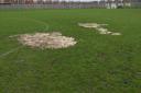 The pitch at Mendip Broadwalk on Saturday February 17