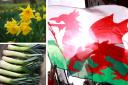 Do you know why the dragon, daffodil and leek are national symbols of Wales?