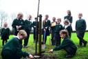 School councillors at Tatworth Primary School 'plant a tree for the Jubilee'. Picture: Tatworth Primary School