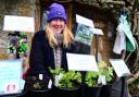 Spring Plant & Gardening Fair, Forde Abbey ; Jackie Williams [from Triffids]