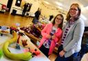 Buckland St Mary flower show at the village hall ; visitors Lucinda and Immy Wood.