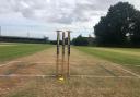Stumps at Ilton Cricket Club (Archive image for illustrative purposes only)