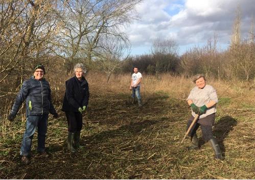 Chard & Ilminster News: TREE PROJECT: Volunteers at Eames Mill, Ilminster