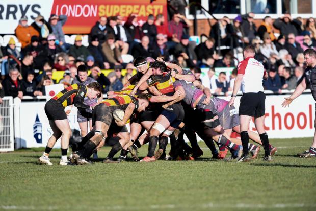 REF: An official watching over a scrum at Taunton Rugby Club (Pic: Clayton jane)