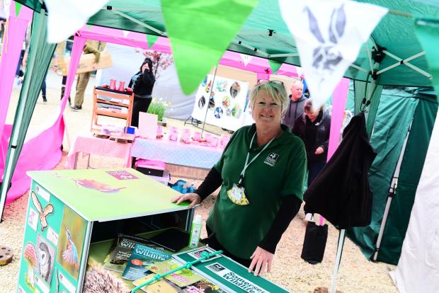Chard & Ilminster News: Erin Davies from the Somerset Wildlife Trust at the Spring Handmade Market in Martock on Saturday. Picture: Steve Richardson