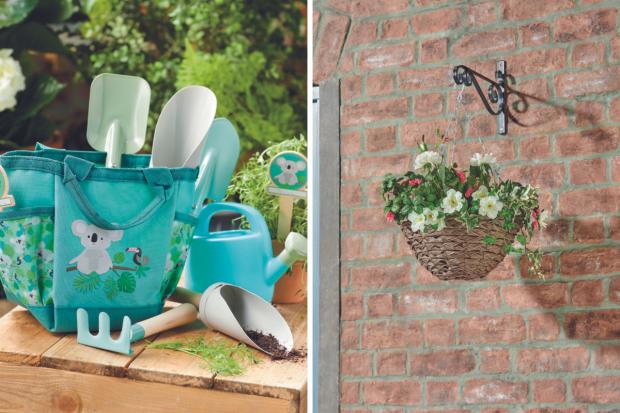 Chard & Ilminster News: Koala gardening set and hanging baskets (Aldi)
