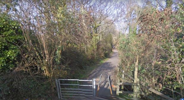 Chard & Ilminster News: Section of Sustrans route 33 (Stop Line Way) seen from Knowle Lane in Knowle St Giles, Looking south towards Chard