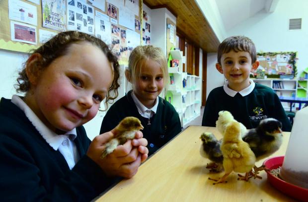 Chard & Ilminster News: Thea, Fergus, and Pearl from Year1 Oak Class