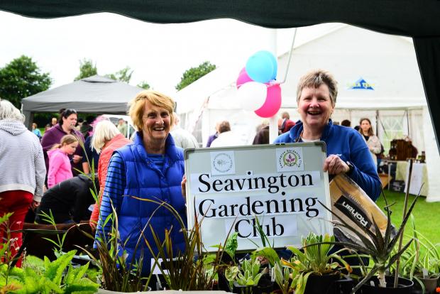 Chard & Ilminster News: Jo Culham and Lis Tope from Seavington Gardening Club