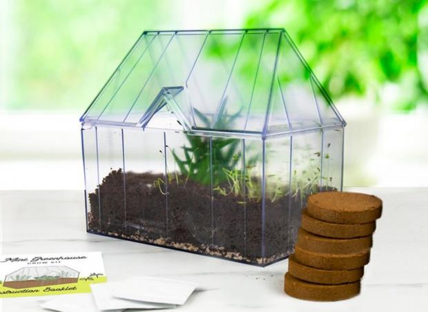 Chard & Ilminster News: Mini Greenhouse Kit (Moonpig)