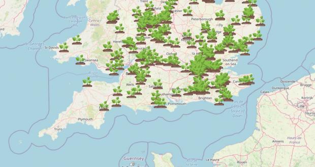 Chard & Ilminster News: WhatShed's interactive map shows dozens of spots in the south of England where Giant Hogweed has been spotted. Picture: WhatShed