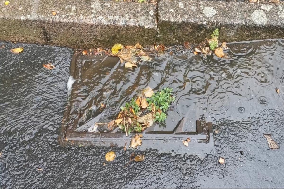 A drain during yesterday's rain in Chard