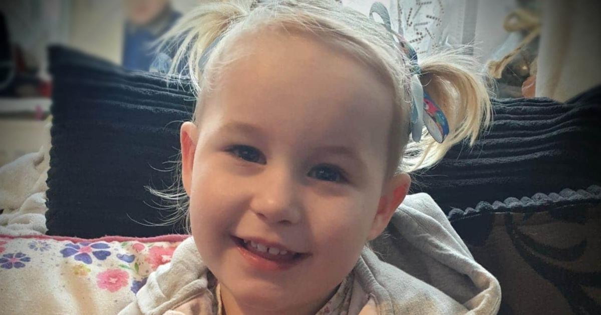 Mother's boyfriend killed toddler and blamed injuries on dog, court told - Vimarsana News