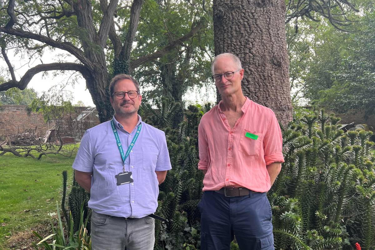 Somerset's Tree Strategy formally launched at Monk's Yard - Vimarsana News