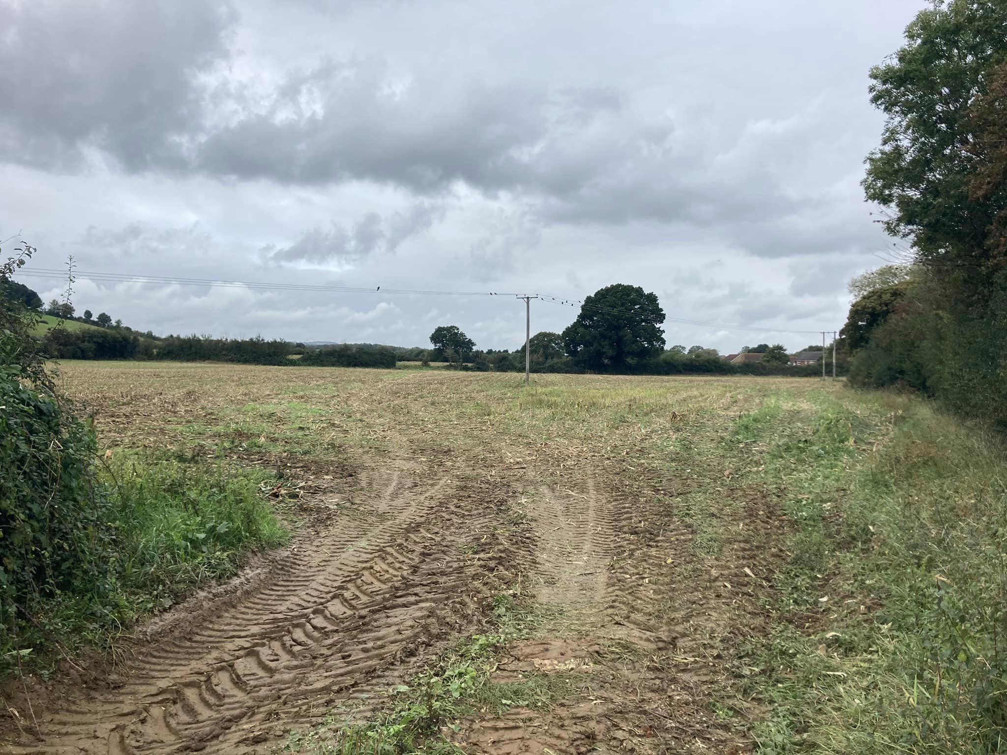 Persimmon Homes plans to fallow area on Canal Way Ilminster - Vimarsana News