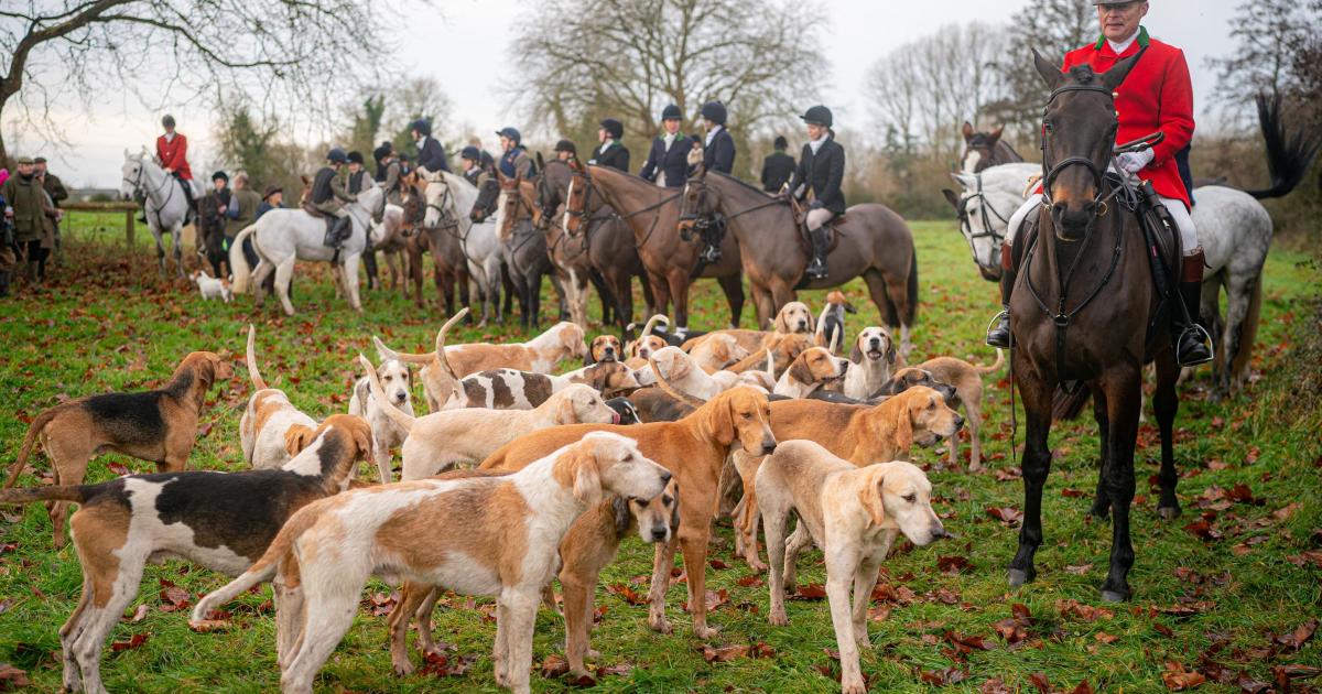 Labour warned against strengthening hunt laws amid Boxing Day parades - Vimarsana News