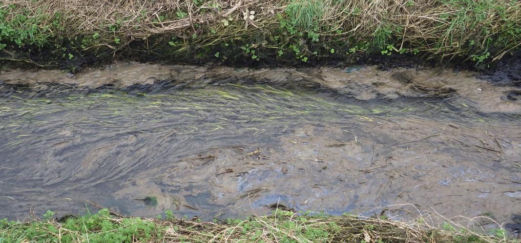 Haselbury Plucknett farm guilty of two pollution counts | Chard & Ilminster News 