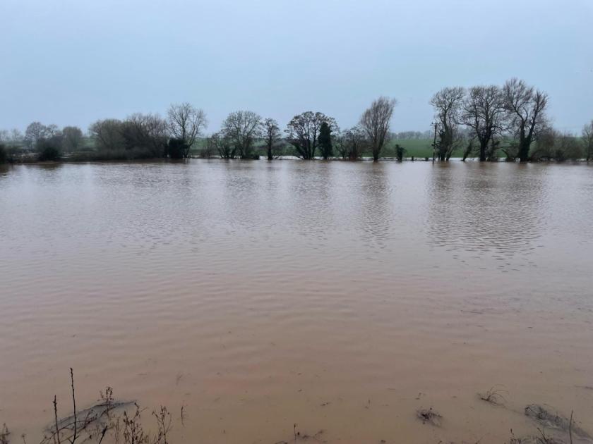 Flood alerts issued across Somerset following heavy rain | Chard & Ilminster News 