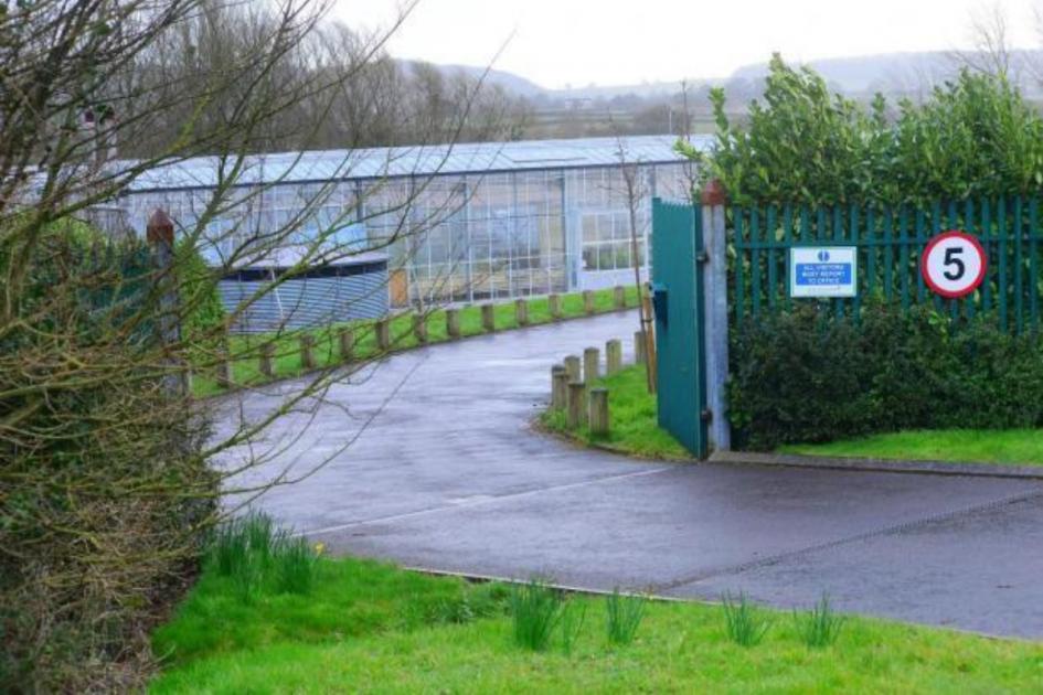 Somerset Nurseries branches in Taunton and Yeovil to close | Chard & Ilminster News 