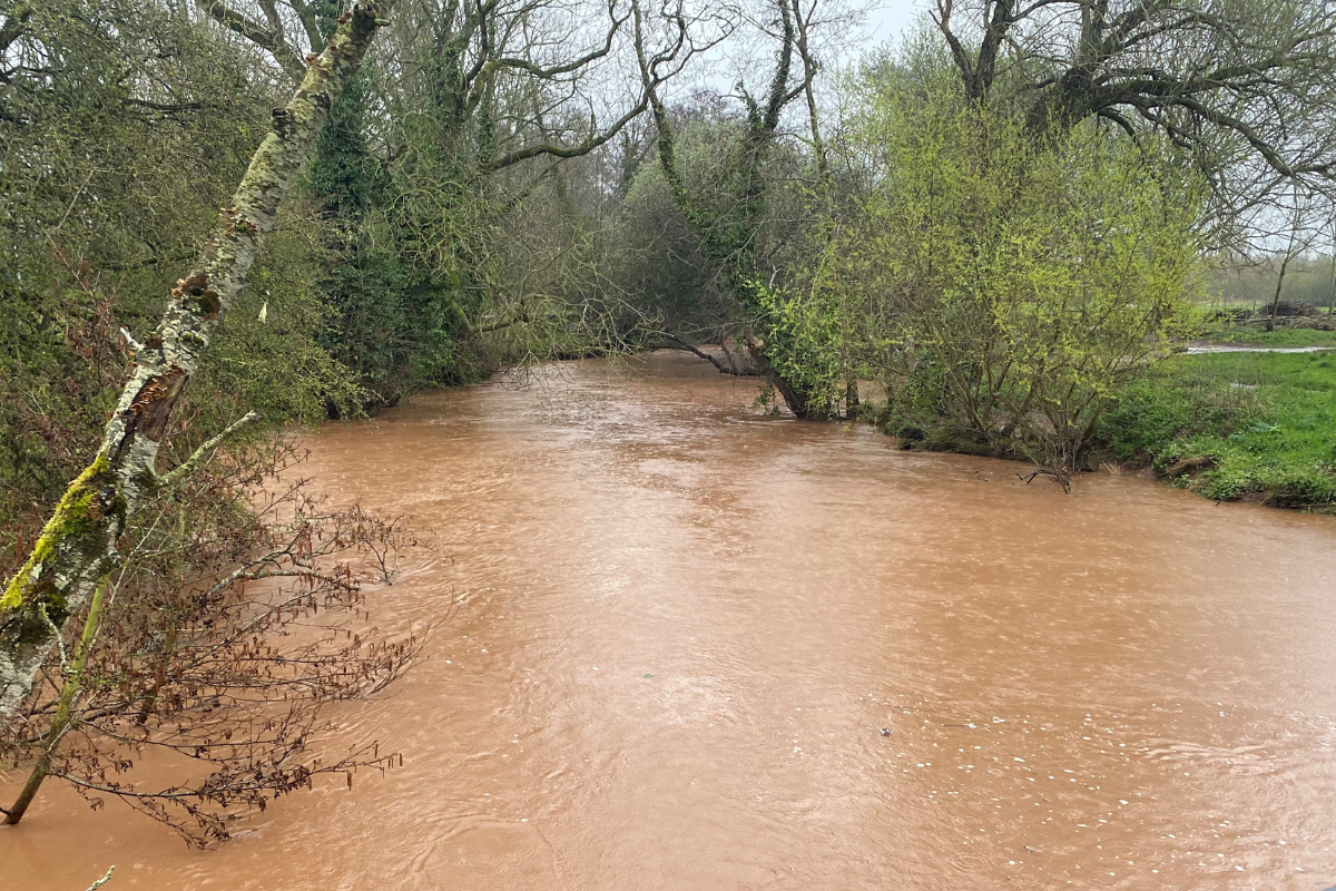 Flood alerts issued across Somerset by Environment Agency - Vimarsana News
