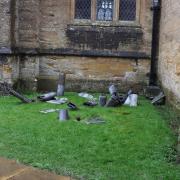 ABANDONED: Rolls of lead left at the South Petherton scene