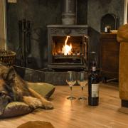 The ultimate doggie vacation up for grabs in charity draw