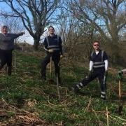 VOLUNTEERS: The Ilminster Tree Project plants trees on Herne Hill