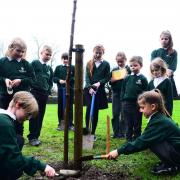 School councillors at Tatworth Primary School 'plant a tree for the Jubilee'. Picture: Tatworth Primary School