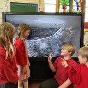 Viewing the camera images in the classroom and the bird box