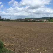 Proposed site of 94 homes on the A358 Tatworth Road in Chard. Picture: Daniel Mumby