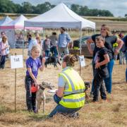 The Ham Hill Country Park Fun Dog Show will be held for the seventh time near Stoke-sub-Hamdon next month. Picture: South Somerset District Council
