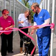 Florist Grace Haskins opens the new cattery with Jan Brooks, Jack Linnell, and her dog Luna. Picture: St Giles Animal Rescue