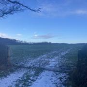 Planned location of new solar farm on Pipplepen Lane in North Perrott near Crewkerne. Picture: Daniel Mumby